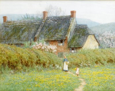 キンポウゲ、ブリッドポート近く、ドーセット（紙にトイレ） 作： Helen Allingham